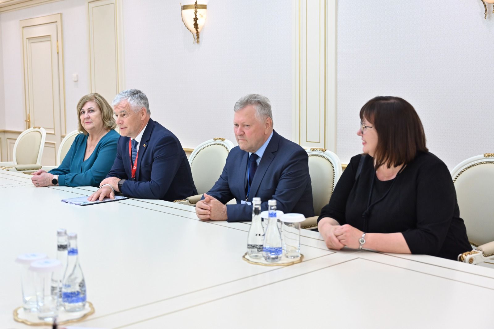 Milli Majlis Chair Talks with Deputy Chairman of Lithuanian Seimas
